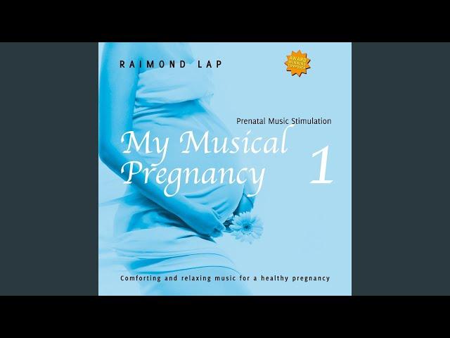 My Musical Pregnancy