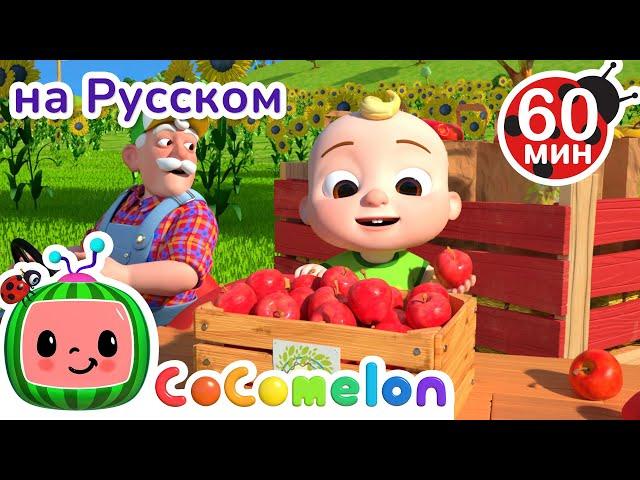 Дети на Ферме | Сборник 1 Час | CoComelon на русском — Детские песенки