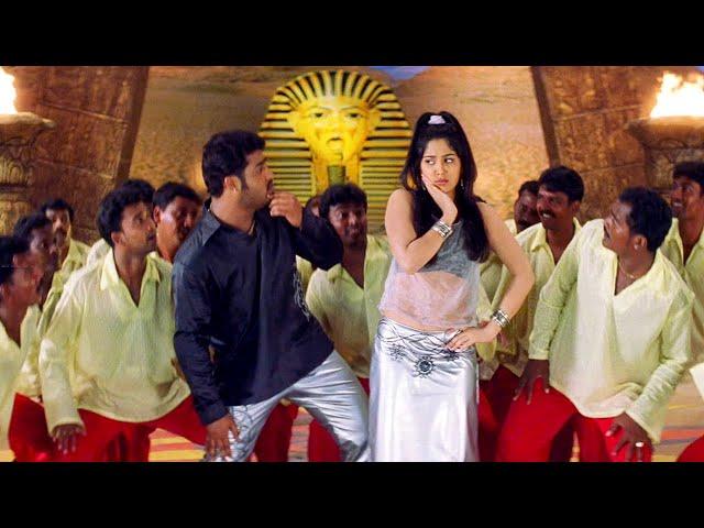 Cheema Cheema Song - Jr NTR, Ankitha Superhit Video Song | Simhadri Movie Video Songs | Telugu Songs