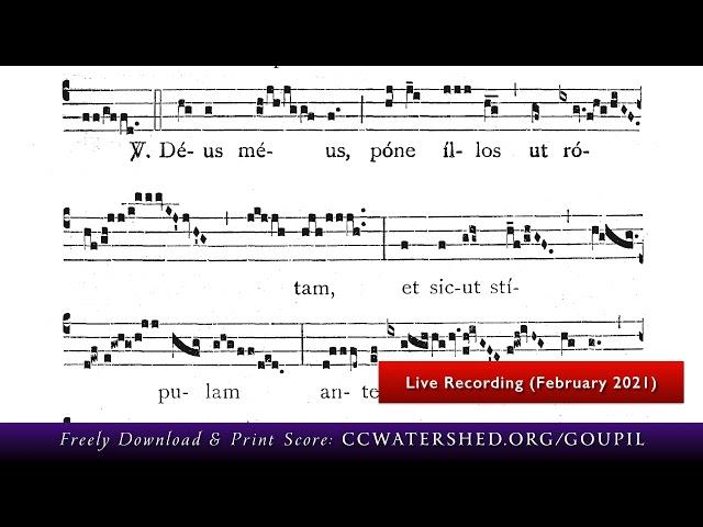 ( * Rec. Live) • GRADUAL for Sexagesima Sunday — “Sciant Gentes” Gregorian Chant