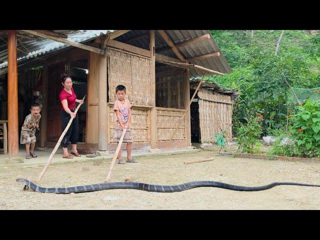 A giant snake appeared in a single mother's yard.DANG THI DU