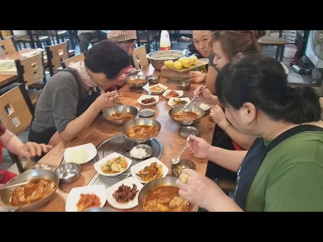 고성배둔맛집양지기사식당