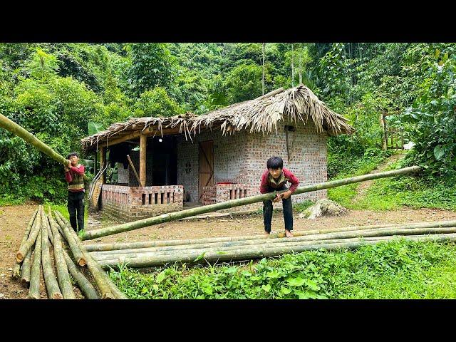 Transporting and Chopping Bamboo to the Farm , Preparing to Do a New Project - Orphan Boy #farm