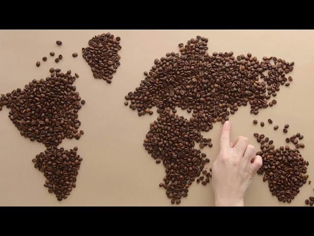 What Coffee Beans are Best for French Press?