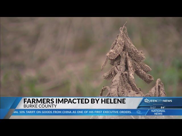 NC farmers still recovering after crops lost due to Hurricane Helene