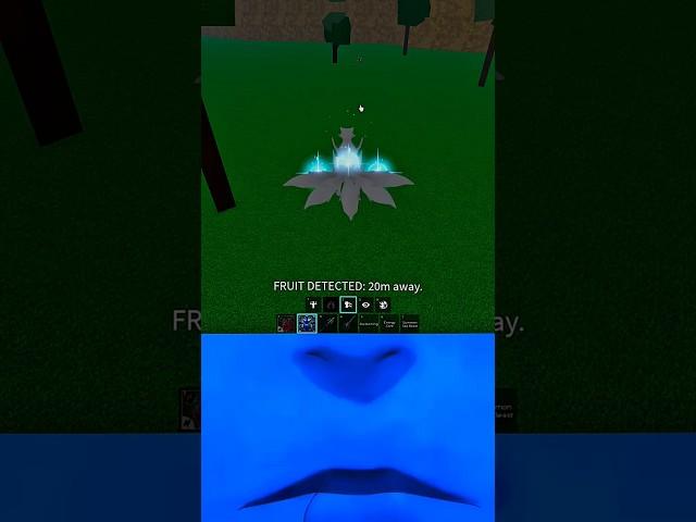 I was Chasing an Exploiter and This Happened  #bloxfruits #fyp #shorts #viralvideos