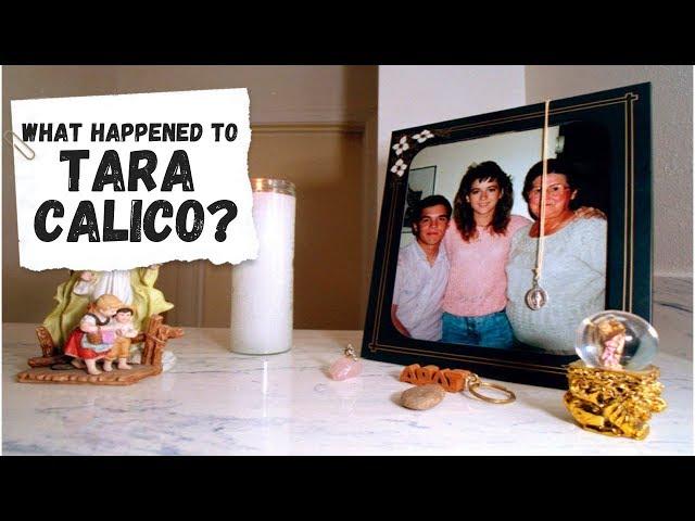 Where is Tara Calico?