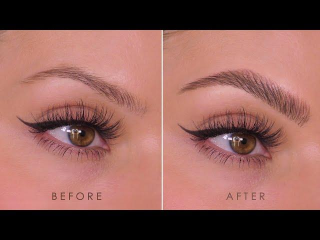 UPDATED Natural Fluffy Eyebrow Tutorial 2024 | How-To | Shonagh Scott