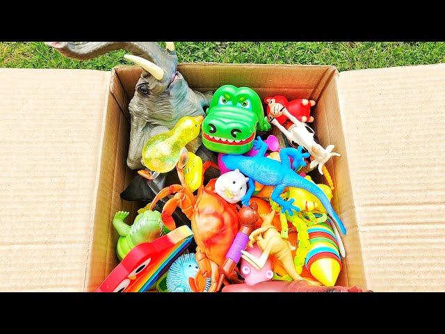 Learn Animal Names and Facts for Babies, Toddlers, Preschoolers, Kids | Unboxing Toys