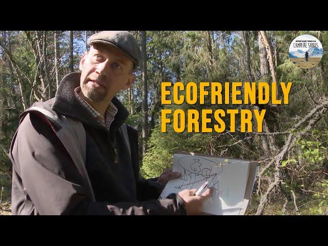 Forestry: A More Sustainable Way – with Mikael Karlsson