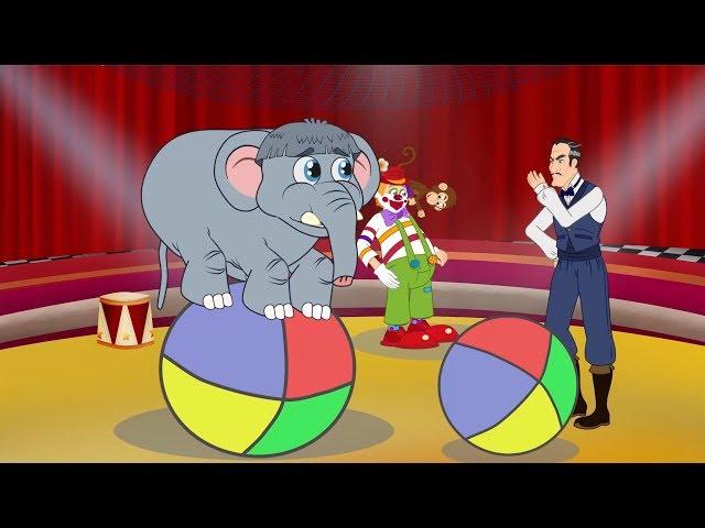 Dimbo, Le Petit Eléphant Têtu 2 | dessin animé en français | Conte avec les P'tits Z'amis