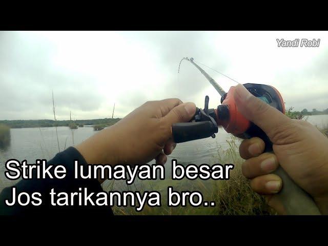 Casting Gabus Eps14 - Fishing Snake Head Fish in Kukar