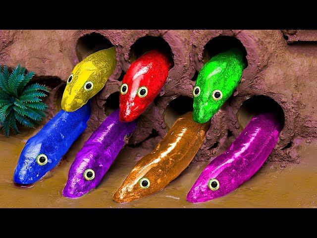 Stop Motion Cooking ASMR - 무지개 악어, 오리 새끼 Satisfying Catfish Carp Fishing Pink Eel | 재미있는 스톱 모션 만화