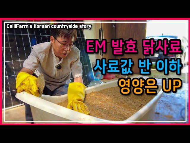 큰돈 안들이고 닭사료 만드는법 첼리팜 시골이야기 CelliFarm's Korean countryside story