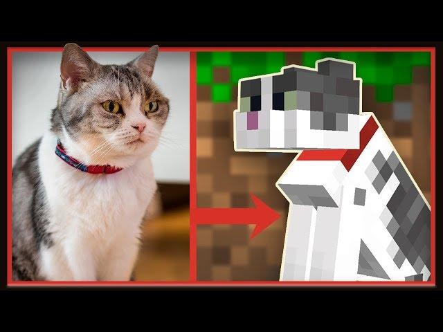 My Cat Jellie Was Officially ADDED To Minecraft