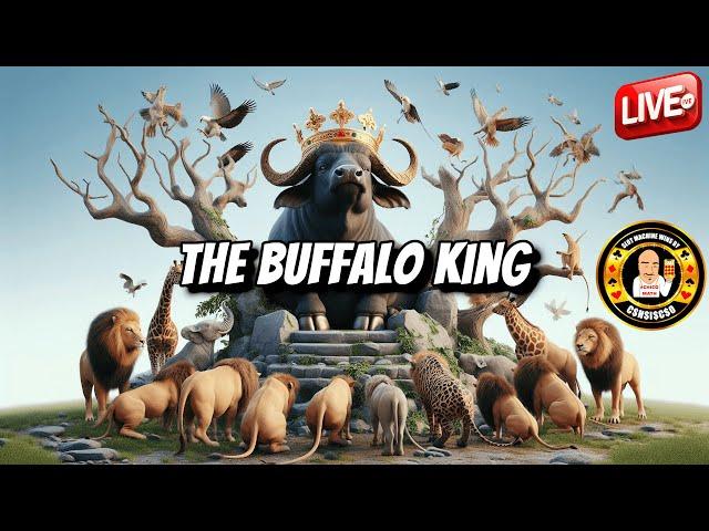 15 Gold Heads To Start 2025 Off For The Buffalo King