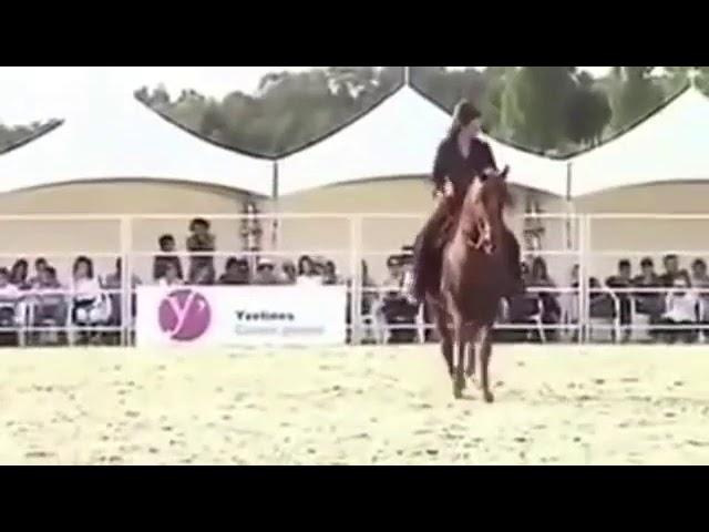 Horse funny dressage