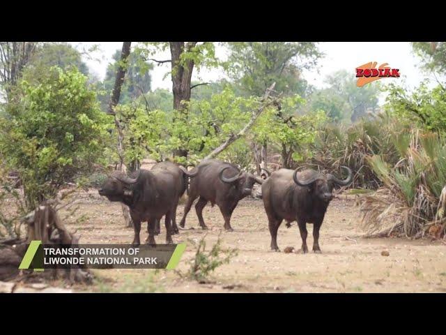 TRANSFORMATION OF LIWONDE NATIONAL PARK