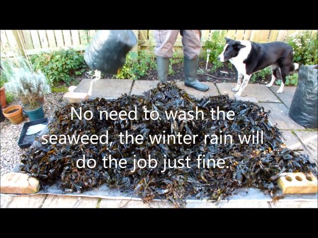 Garden Shredder, Winter Composting, Seaweed and Leaves with a Royal ending