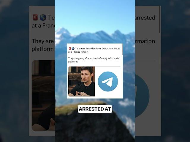 Telegram Founder Arrested in France Causing Ton Coin To Dump - Pavel Durov