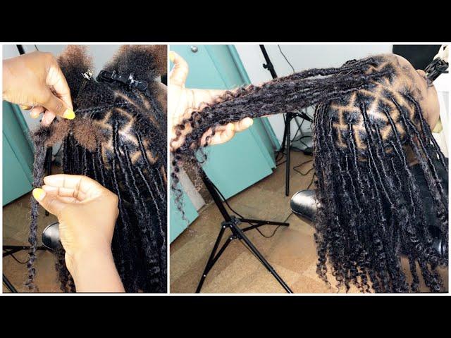 DETAILED TEMPORARY GODDESS DREADLOCKS EXTENSIONS WITH CURLY ENDS | Daixidreadology human hair Locs