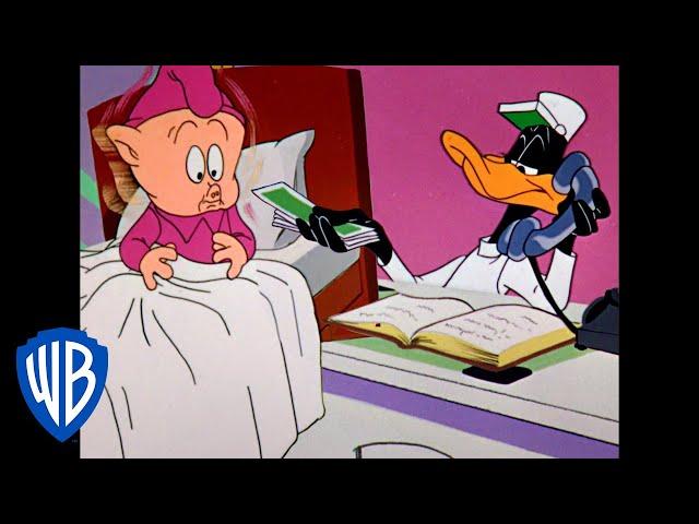 Looney Tunes | A Scammy Hotel | Classic Cartoon | WB Kids