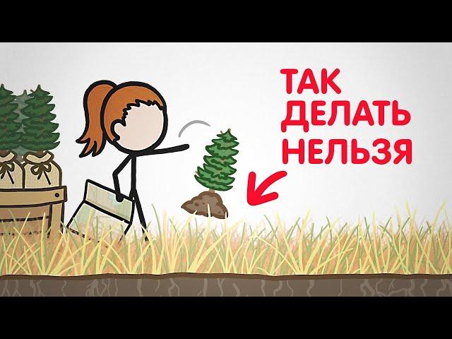 Высадка деревьев вредит экологии? [Минутка Земли]