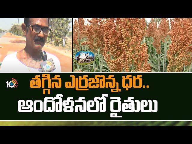 తగ్గిన ఎర్రజొన్న ధర.. ఆందోళనలో రైతులు | Red Sorghum Price | Erra Jonna | Matti Manishi 10TV