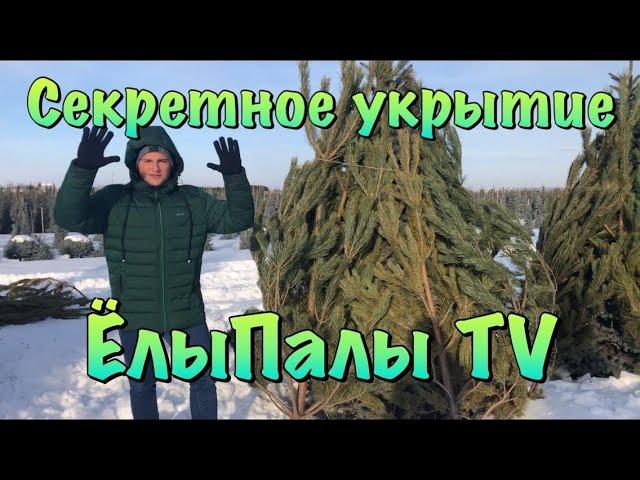 Секретное укрытие/Сезон 2020 ЕлыПалы TV