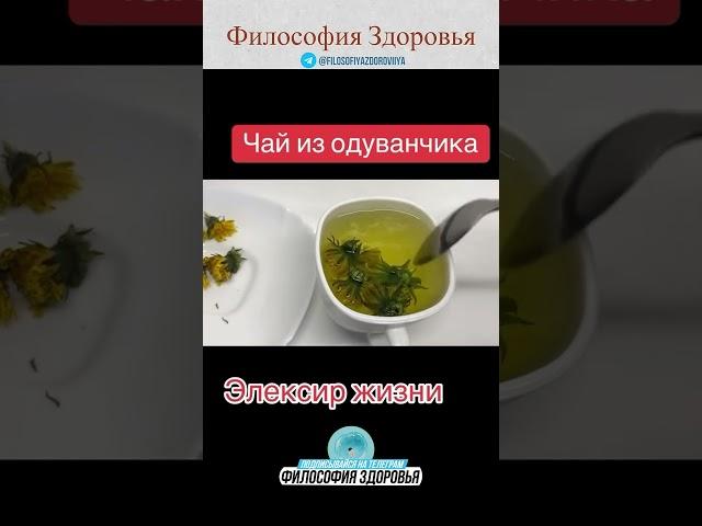 Одуванчик полезные свойства  #здоровье #медицина #здоровьебезлекарств #народнаямедицина #врач #травы