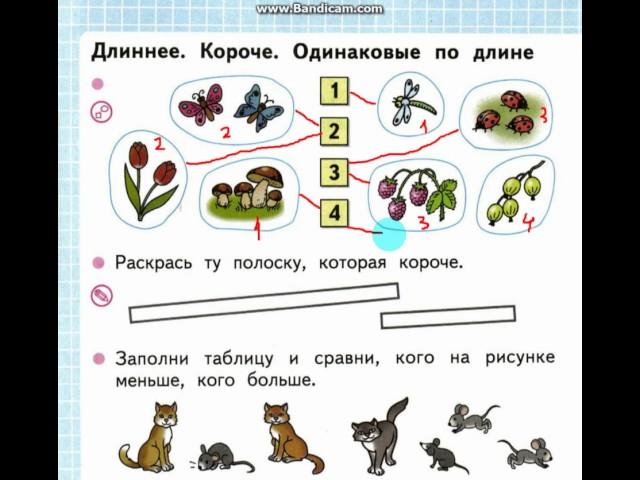 Математика 1 класс по рабочей тетради Моро, Волкова стр 12