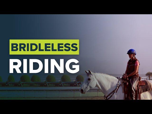 BRIDLELESS HORSE: RIDING BITLESS WITH WYATT