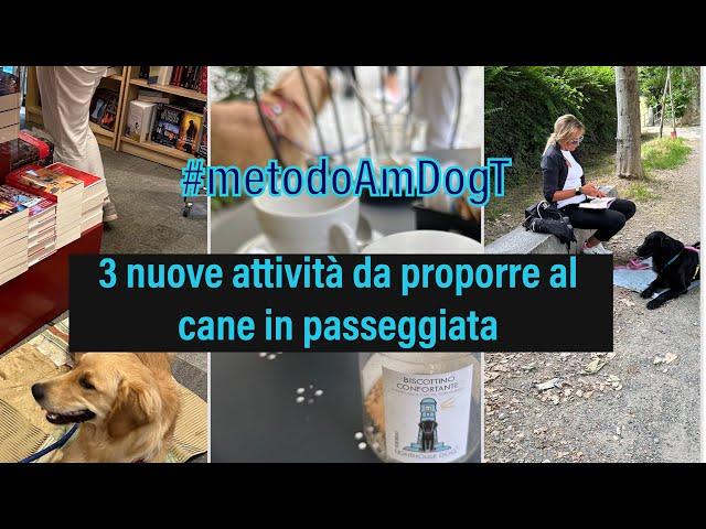 3 nuove attività da proporre al cane in passeggiata seguendo il metodoAmDogT