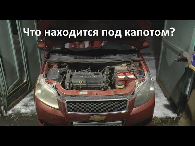 Что находится под капотом автомобиля? Это должен знать каждый начинающий водитель. Устройство авто