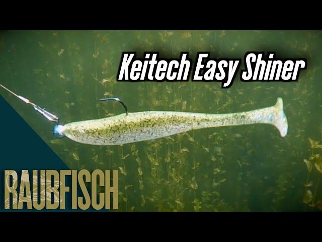 Der Keitech Easy Shiner