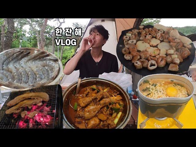 [알콜 VLOG]집밥에 반주가 일상 캠핑은 술마시러 간다! 그리고 초복까지~(김치찜, 숯불삼겹살, 활새우, 막창, 닭볶음탕) Alcohol VLOG