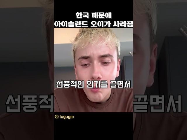 한국 때문에 아이슬란드 오이가 사라짐