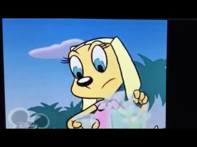 Looney Tunes - Mr. Whiskers Pees His Underwear