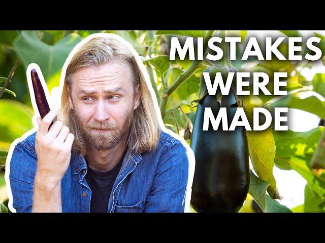 How to Grow Perfect Eggplants Every Time - 5 MISTAKES to Avoid