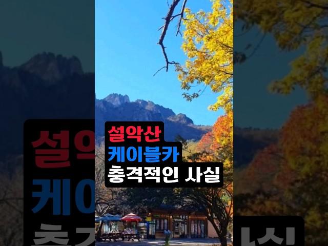 설악산 케이블카 충격적인 사실