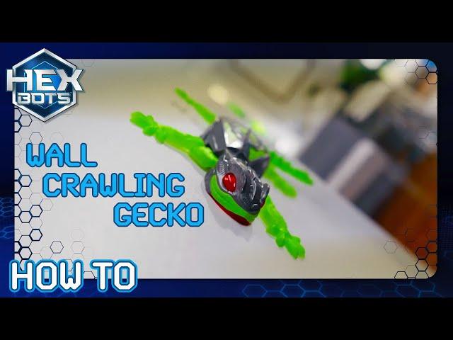 How to Use Your NEW Wall-Crawler Gecko | Hex Bots | Toys for Kids