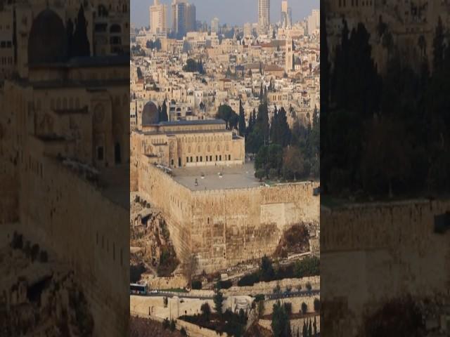 وثائقي | الكنعانيون | كيف بدأت أرض كنعان ؟ | السكان الأصليين للأرض المقدسه  | المجهر الوثائقية