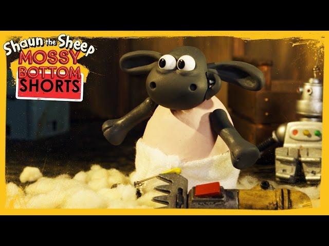 Babysitting Timmy - Shaun the Sheep [Full Episode]