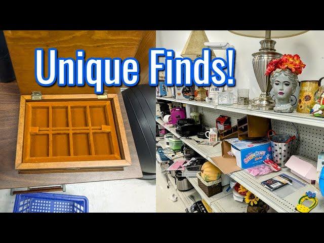 Unique Goodwill Finds! | Thrift Shopping with Me and Haul! | Thrifting in 2025