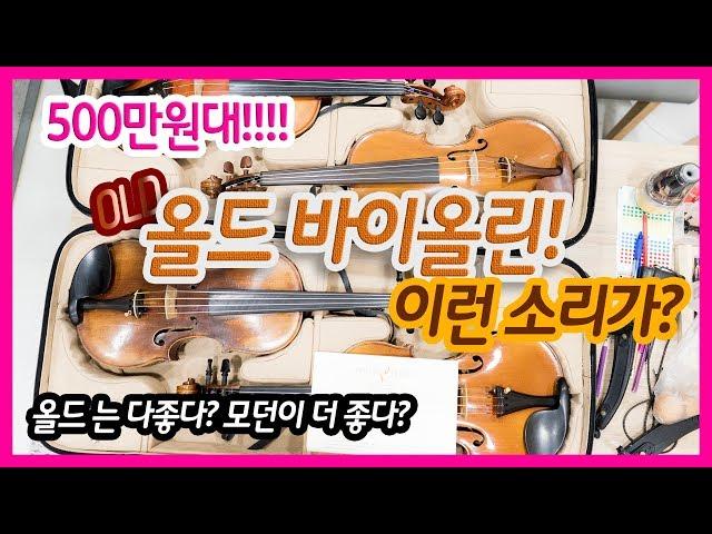 올드 바이올린은 무조건 소리가 좋다? 500만원대 올드 바이올린 4대!  들어보세요. 올드소리 좋나요?