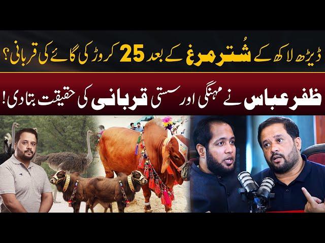 Zafar Abbas Disclosed Most Expensive Cow for Qurbani After Ostrich | Hafiz Ahmed Podcast