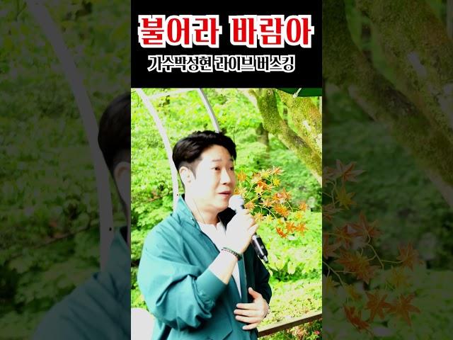 [ 현장직캠 ] 불어라 바람아 (원곡 한승기) #한승기 #불어라바람아 #박성현 #꽃길인생 #버스킹 #장태산 #미스터트롯