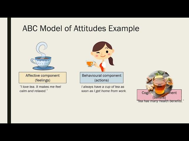 ABC Model of Attitudes