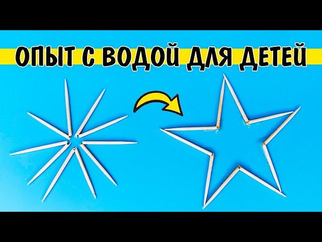 Опыт с водой и зубочистками | Капиллярный эффект