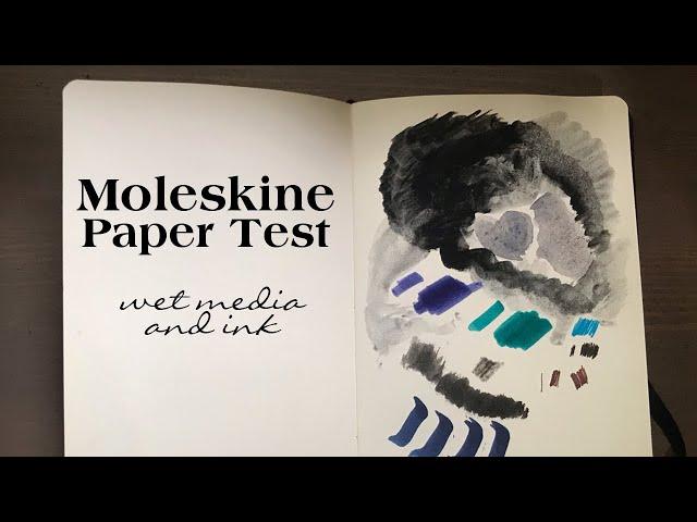 Moleskine Art Collection Sketchbook Paper Test